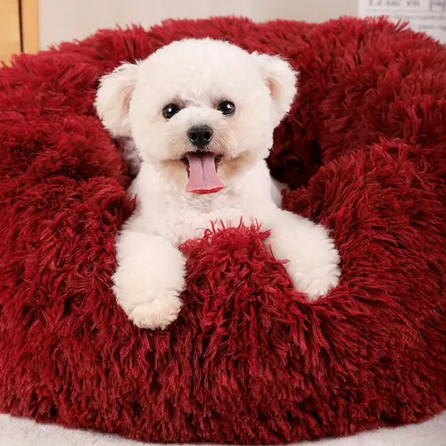 Dog Perfume for Sensitive Skin: Safe and Soothing - Furry Family Essentials