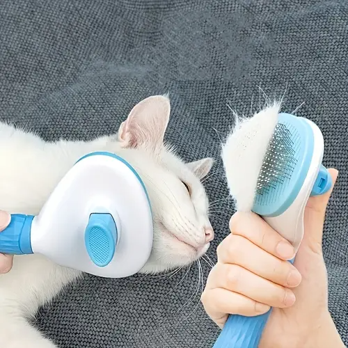 Deodorising Spray for Smelly Dogs: Freshness Made Easy - Furry Family Essentials