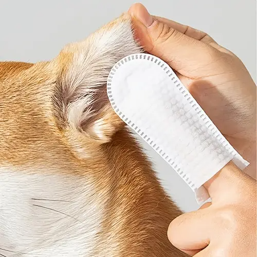 Grooming Routine Upgrade: Perfume & Deodorising Sprays - Furry Family Essentials