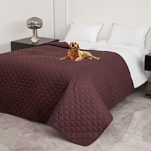 Quick Freshen Dog Spray Between Washes