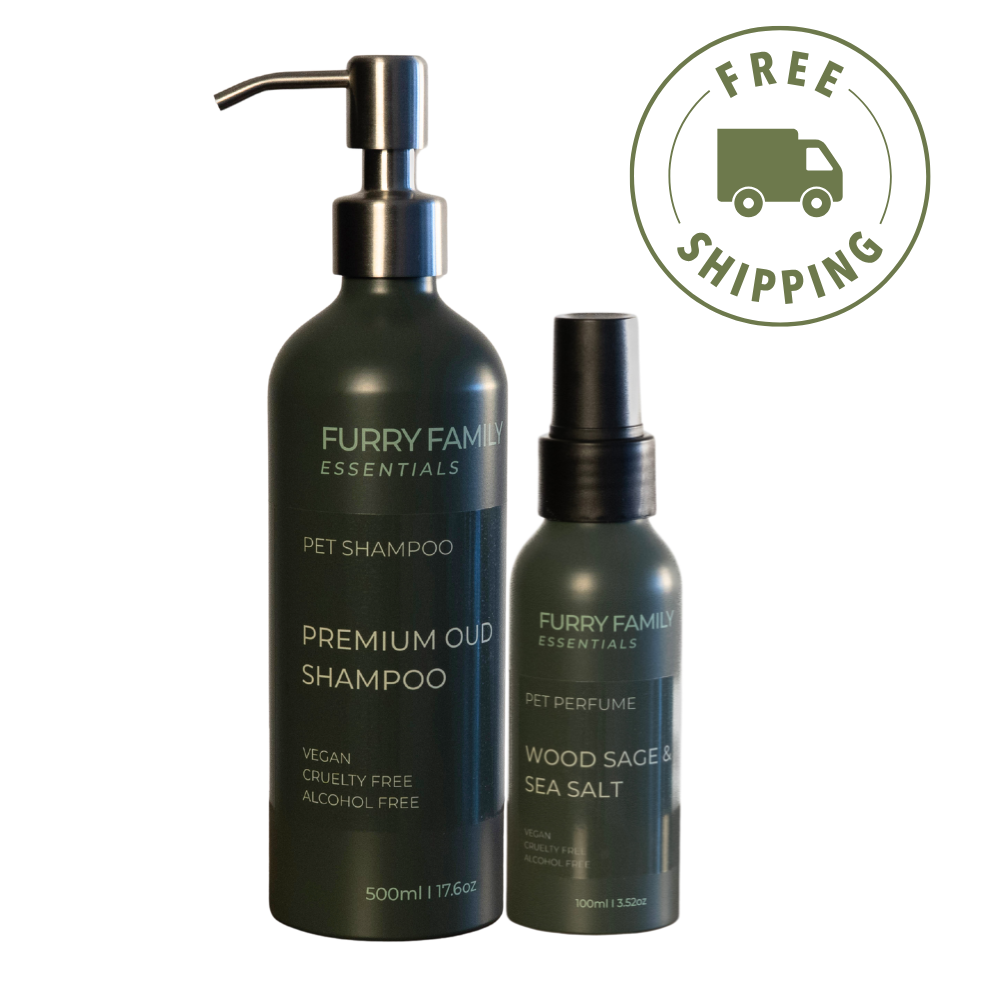 2 In 1 Bundle Shampoo & Fragrance